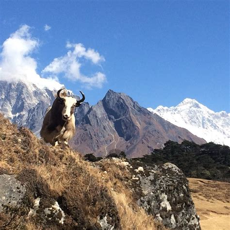 HIMALAYAN ENCYCLOPEDIA ADVENTURE COMPANY (2026) All You Need to Know ...