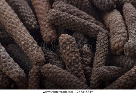 Image result for Java Exam Pepper