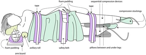 Medical Definition Of Lateral Decubitus Position at Margaret Valez blog