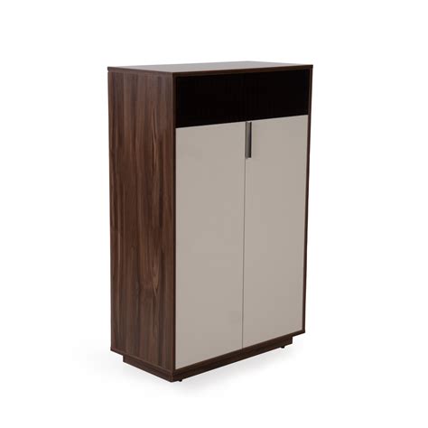 Buy Fredrick Brown Engineered Wood Shoe Cabinet Online at Durian