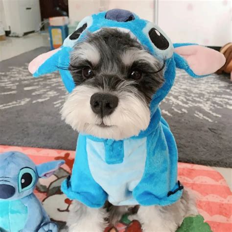 Stitch Dog Costume