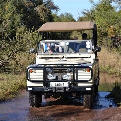 BUSH CAT ADVENTURES (Updated 2026) All You Need to Know BEFORE You Go ...