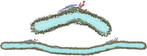 Home [home.iitk.ac.in]