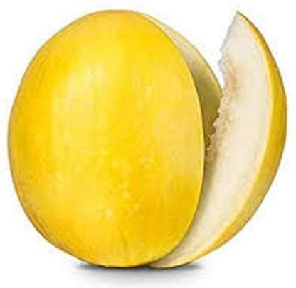 Sjeme Yellow Kharbuj / Musk Melon Seed- 300 Seed Price in India - Buy ...