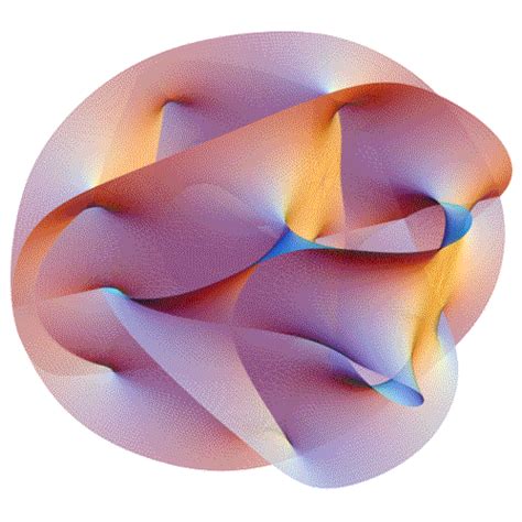 Visualization in 3D of Dynamics of Toroidal Helical Coils