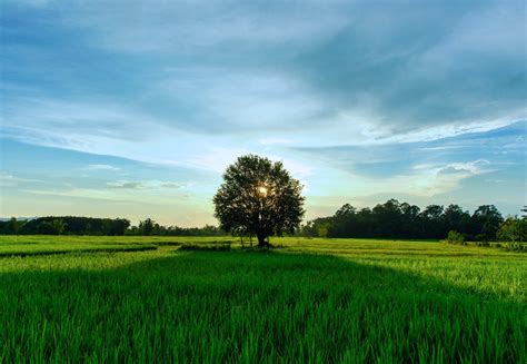 Locations | Thomas J. Pirro Jr. Funeral Home - North Syracuse, NY