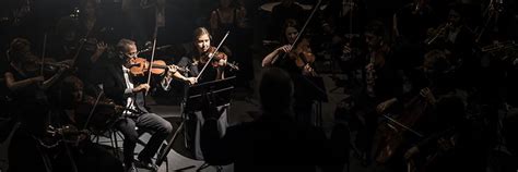 Digitalisation / Connectivity