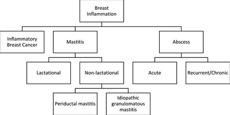 Breast infections: A review of current literature - The American ...