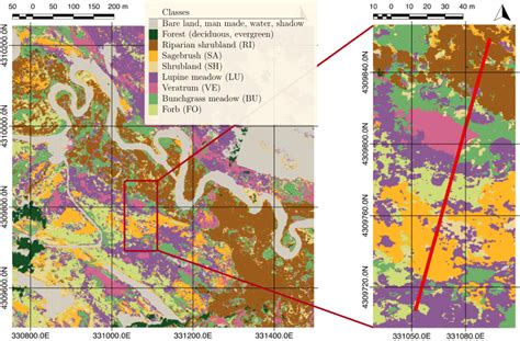 Plant Community 的图像结果