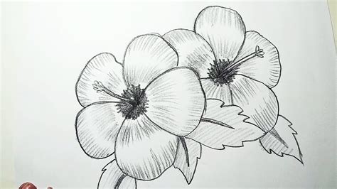 Shading Drawing of Flowers: A Step-by-Step Guide for Beginners