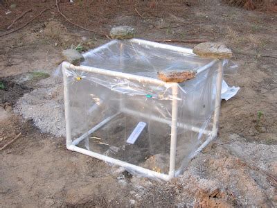 Build a Cheap Cold Frame 的图像结果