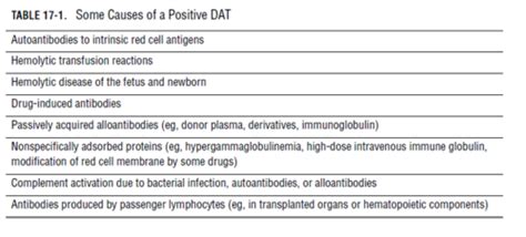 Image result for Dat Positive