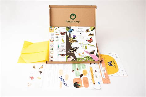 Learning Butterfly Tricks 的图像结果