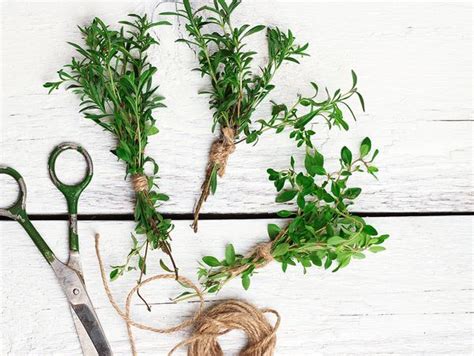 How to Cook Meat Right | Bosch Home Appliances