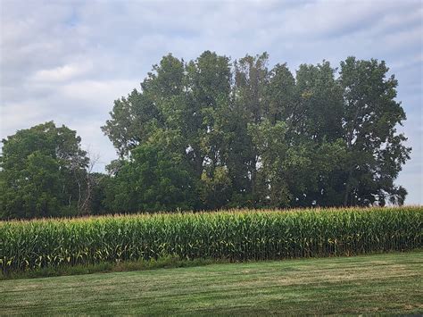 New London roundup: village updates | council | police log | obits ...