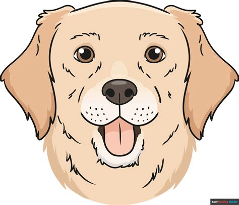 How To Draw A Dog Bed Step By Step