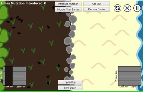 Image result for Simulating Evolution