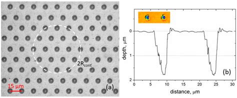 Tribological Performance of Diamond-like Nanocomposite Coatings ...