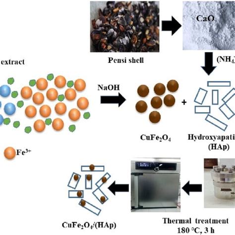 Image result for Calm Shell