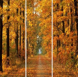 GO HOOKED Orange And Yellow Mdf 3 Panel Wallpaper Pack of 3 Price in ...