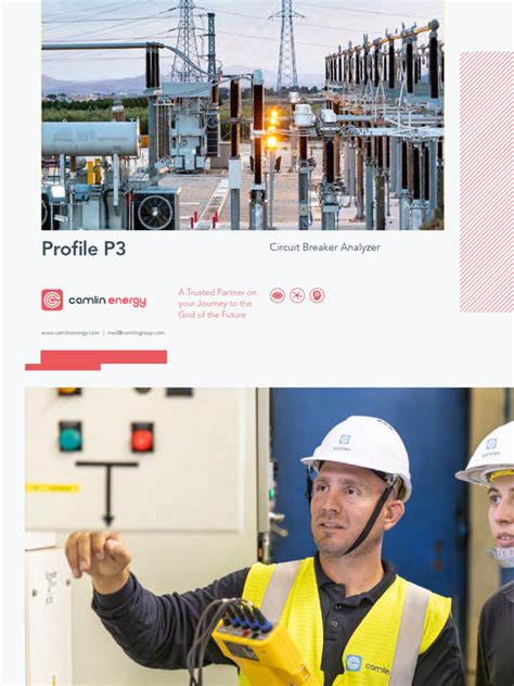 Image result for P3 Program Brochure