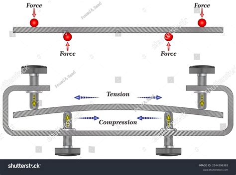 Image result for Tensor Quantity Examples