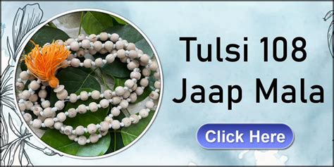 Tulsi Jaap mala – Pure Tulsi mala : Original Tulsi Kanthi Mala From ...