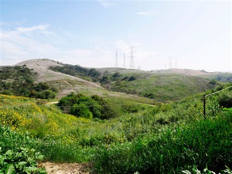 Hiking Through Powder Canyon Trailhead - Fullerton Observer