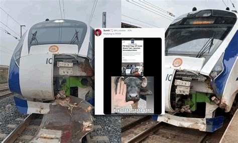 Vande Bharat Express Launched By PM Modi, Damaged After Collision With ...