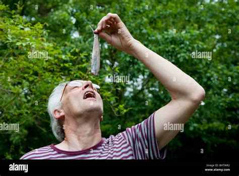 Eating Herring 的图像结果