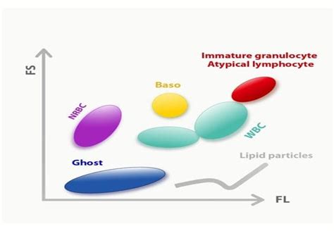 Small Cube, Big Difference: Mindray New SF Cube Technology (I ...
