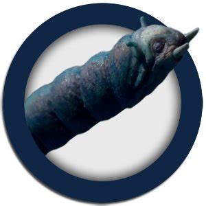 Image result for Memory Worm