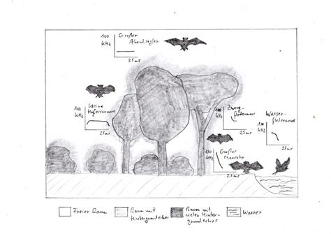 Die Echoortung der Fledermäuse – fledermaus.nrw