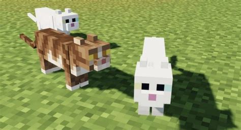 How To Get ALL Minecraft Cats And What They Do (Updated for 1.21)