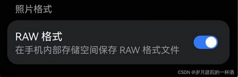 File Manipulation in Python RWA 的图像结果