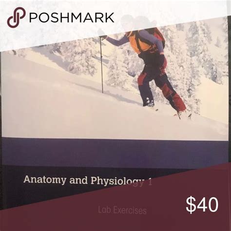 Anatomy and Physiology 1 Lab Exercises | Anatomy and physiology ...