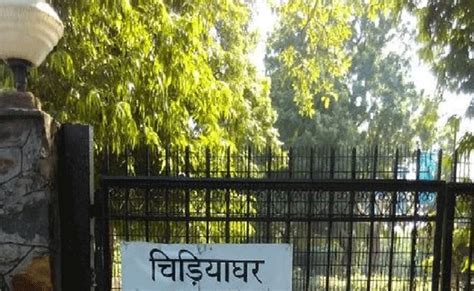 Heaters, blankets placed inside Lucknow zoo to protect animals from ...