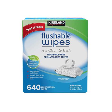 Kirkland Signature Moist Flushable Wipes, 632 Wipes Philippines | Ubuy