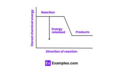 Exothermic Reaction Examples 的图像结果