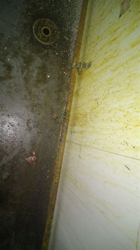 Index of /new_k_Eversendai/defectreport_images_mep