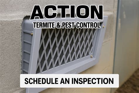 Crawl Space Ventilation- Action Termite & Pest Control