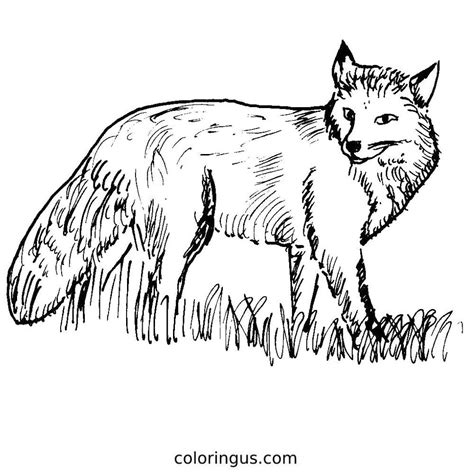 Fox Logo Coloring Pages 的图像结果