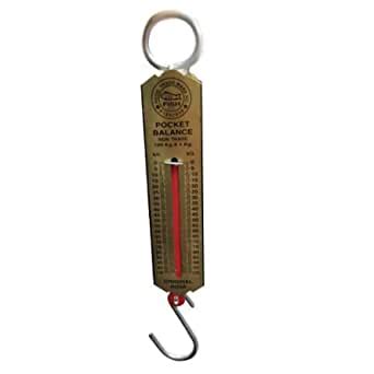XPONION Double Spring Balance Heavy Body 100kg, Golden : Amazon.in ...