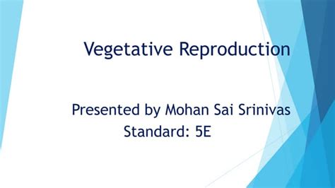 Image result for Vegetative Reproduction Class 5 Activity