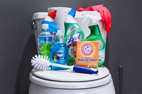 How to Clean a Toilet and Bidet In 8 Easy Steps