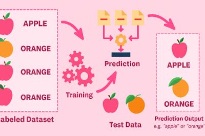 Class 10 AI Chapter - Modelling in AI Topic - Machine Learning ...