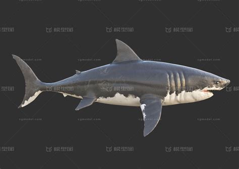 《食人鲨》各级进化外观与属性一览_暗影鳍-游民星空 GamerSky.com