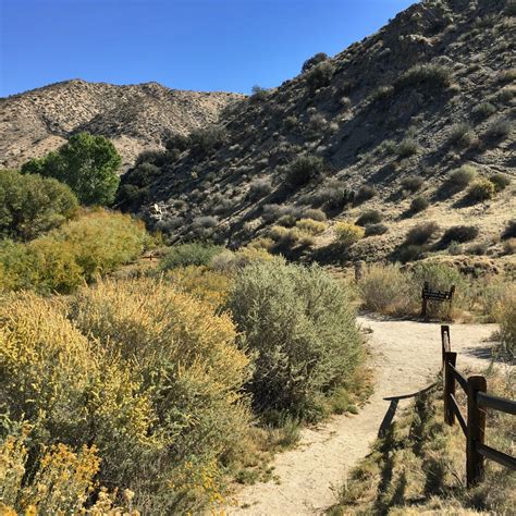 Big Morongo Canyon Preserve (Morongo Valley): All You Need to Know