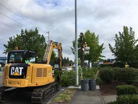 Vegetation Management | City of Kent