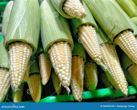 Black and White Baby Corn in Market Stall Stock Image - Image of stall ...